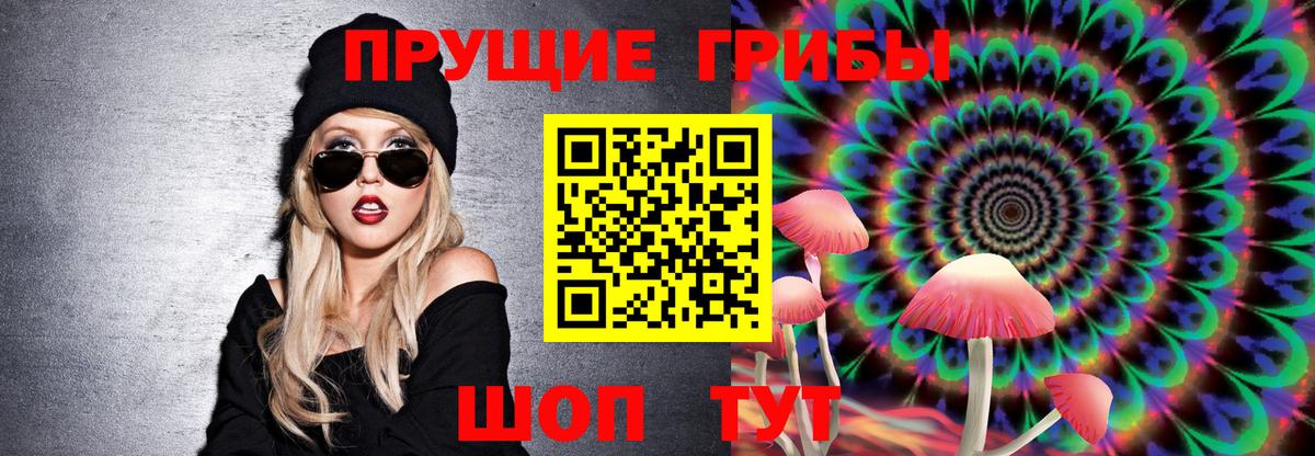 Галлюциногенные грибы Psilocybe Алексеевка